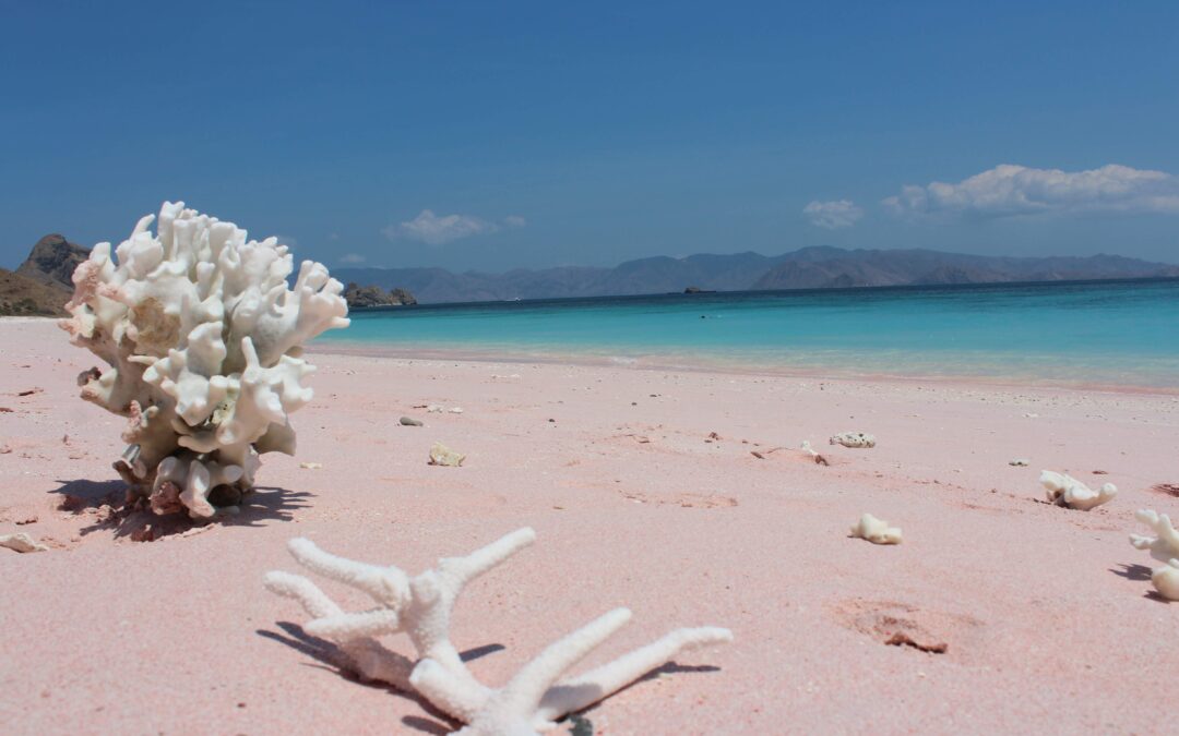 Ritiro di Benessere Naturale: Riscopri l’Armonia tra Corpo, Mente e Natura